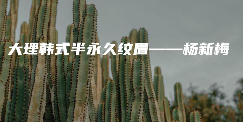 大理韓式半永久紋眉——楊新梅插圖