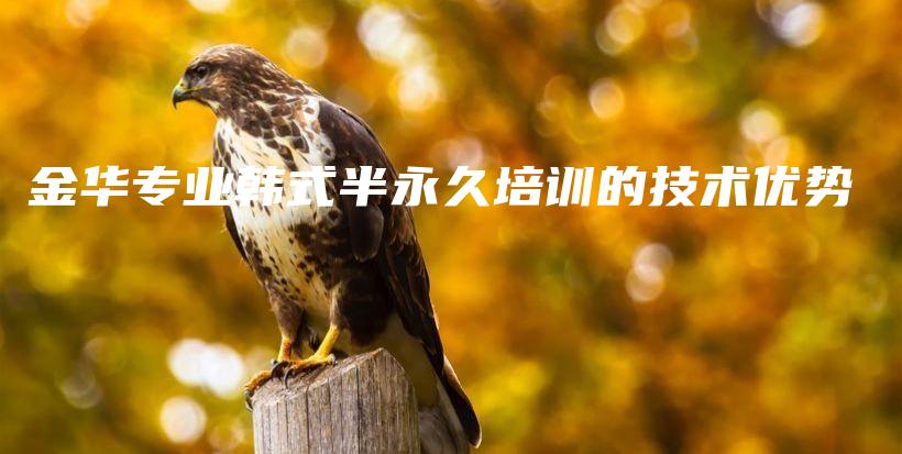 金華專業(yè)韓式半永久培訓(xùn)的技術(shù)優(yōu)勢(shì)插圖