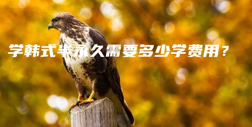 學(xué)韓式半永久需要多少學(xué)費(fèi)用？插圖