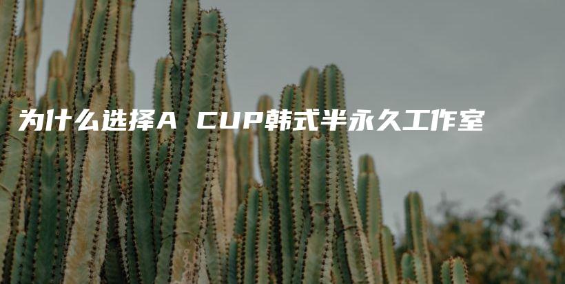 為什么選擇A CUP韓式半永久工作室插圖