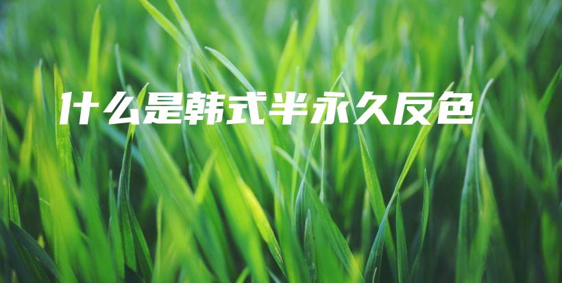 什么是韓式半永久反色插圖
