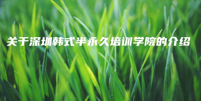關(guān)于深圳韓式半永久培訓學院的介紹插圖
