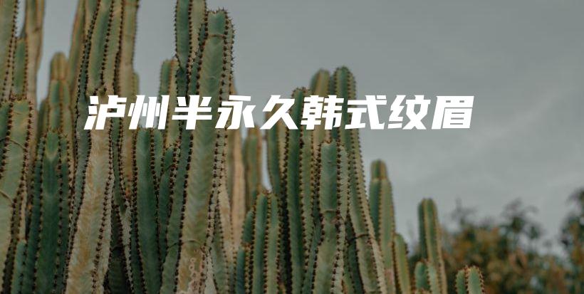 瀘州半永久韓式紋眉插圖