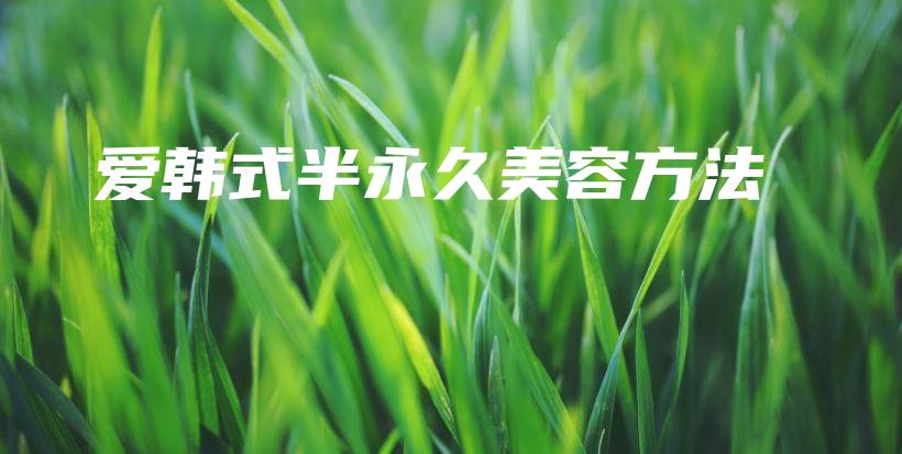 愛韓式半永久美容方法插圖