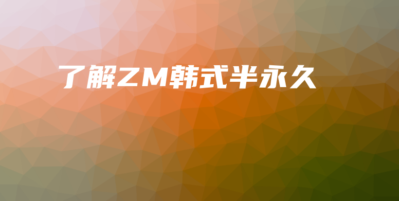 了解ZM韓式半永久插圖