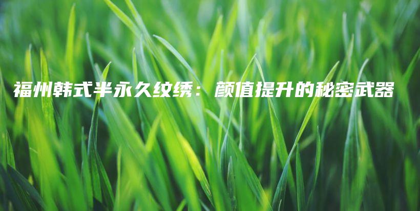 福州韓式半永久紋繡：顏值提升的秘密武器插圖