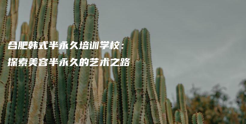 合肥韓式半永久培訓(xùn)學(xué)校：探索美容半永久的藝術(shù)之路插圖