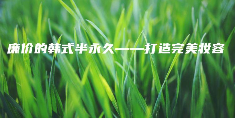 廉價(jià)的韓式半永久——打造完美妝容插圖