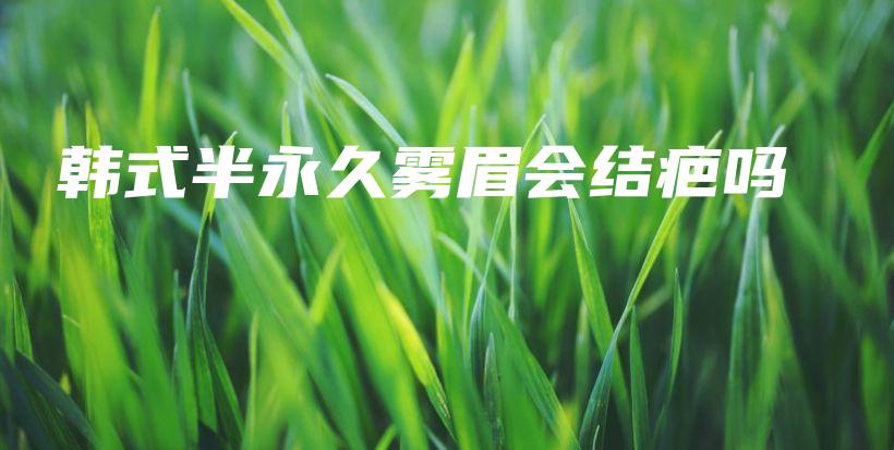 韓式半永久霧眉會(huì)結(jié)疤嗎插圖