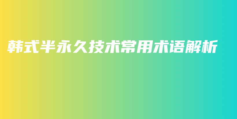 韓式半永久技術(shù)常用術(shù)語解析插圖