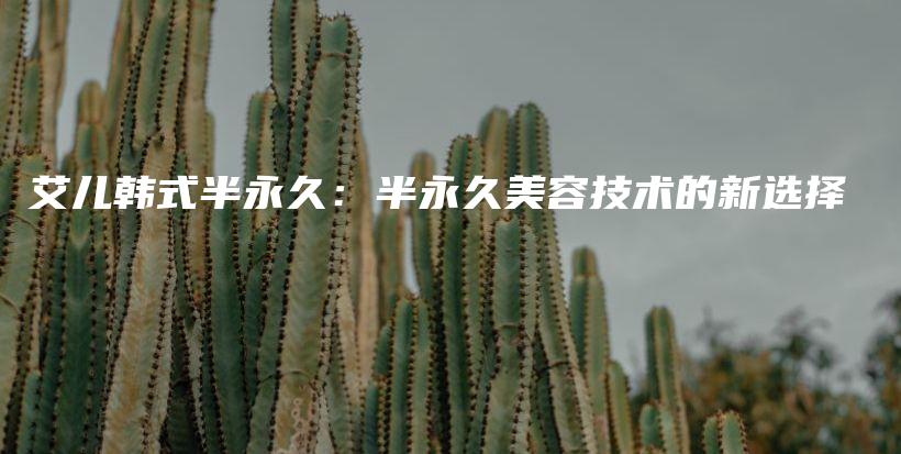 艾兒韓式半永久：半永久美容技術(shù)的新選擇插圖