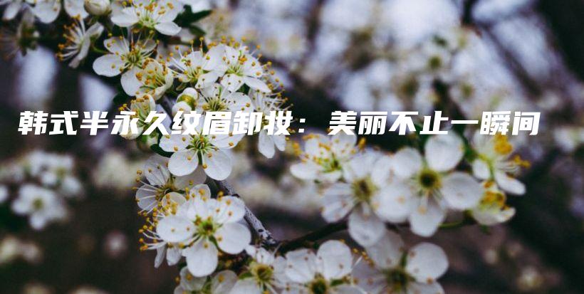 韓式半永久紋眉卸妝：美麗不止一瞬間插圖