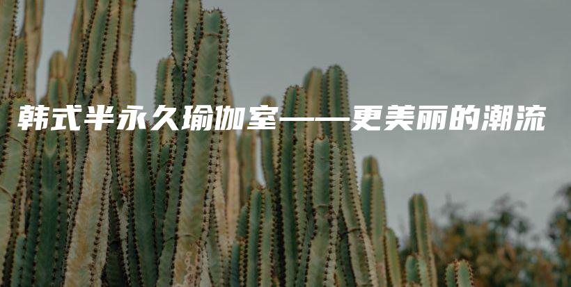 韓式半永久瑜伽室——更美麗的潮流插圖