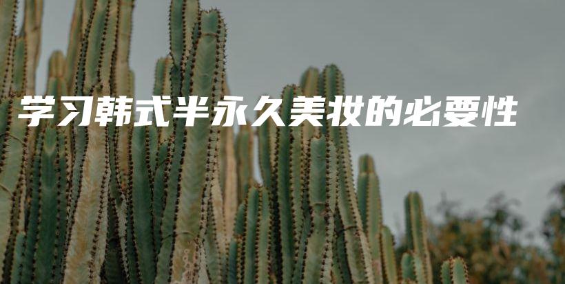 學習韓式半永久美妝的必要性插圖