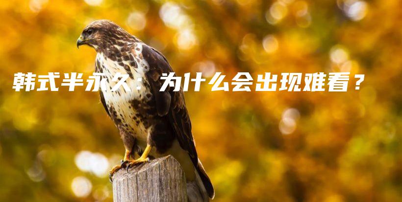 韓式半永久：為什么會出現(xiàn)難看？插圖