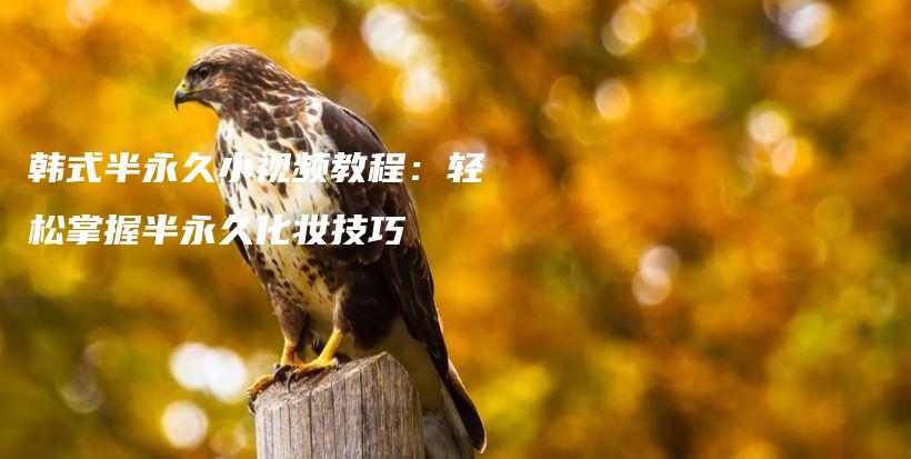 韓式半永久小視頻教程：輕松掌握半永久化妝技巧插圖