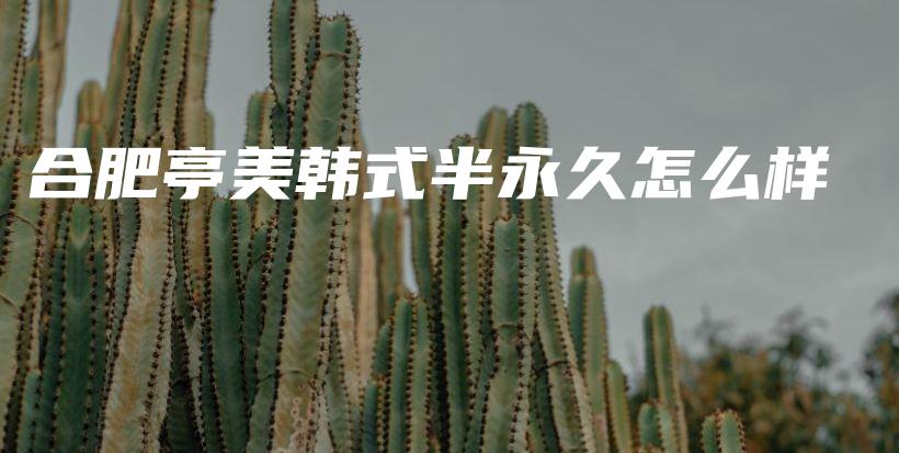 合肥亭美韓式半永久怎么樣插圖