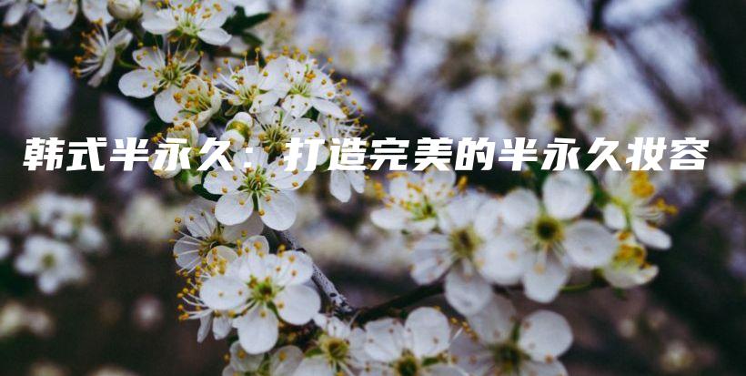 韓式半永久：打造完美的半永久妝容插圖