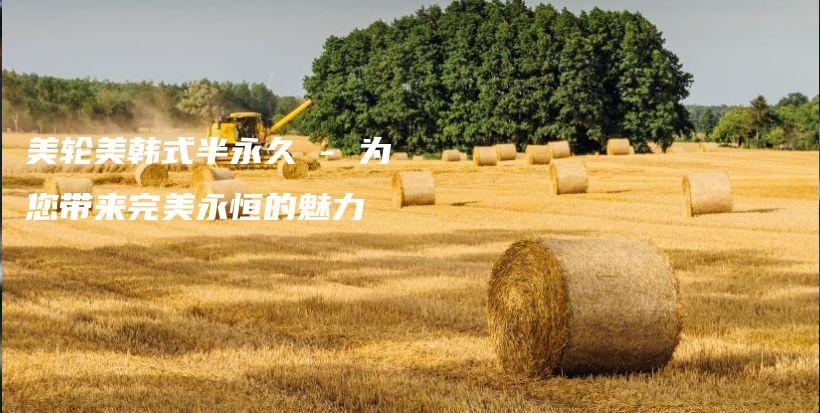 美輪美韓式半永久 – 為您帶來完美永恒的魅力插圖