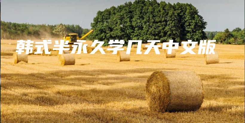 韓式半永久學(xué)幾天中文版插圖