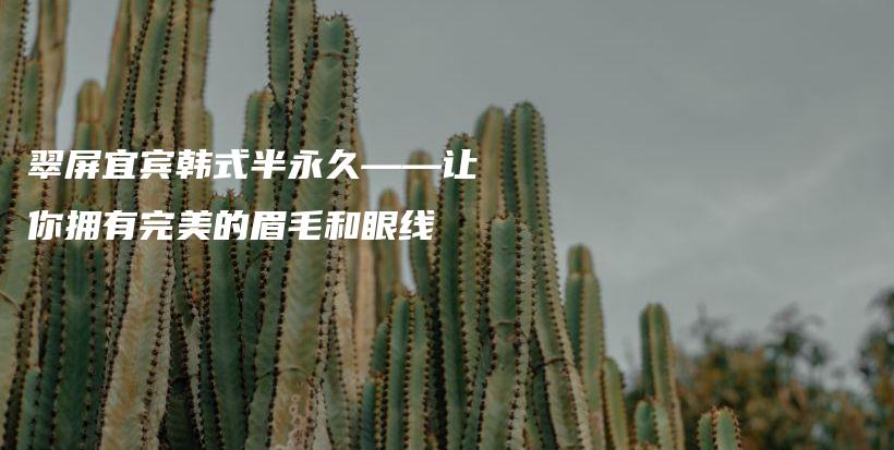 翠屏宜賓韓式半永久——讓你擁有完美的眉毛和眼線插圖