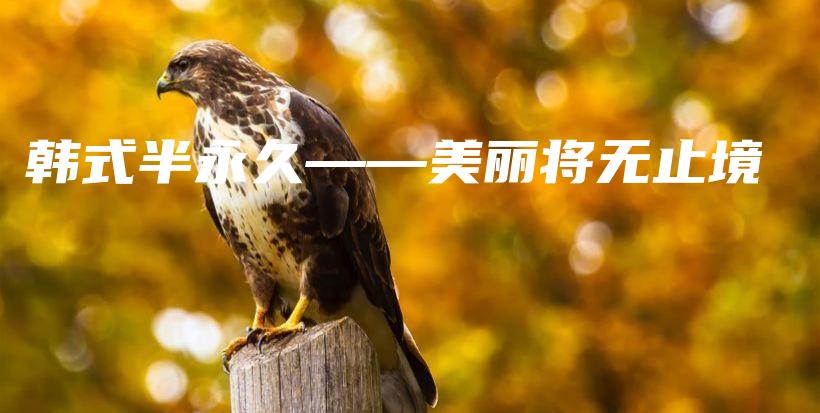 韓式半永久——美麗將無止境插圖