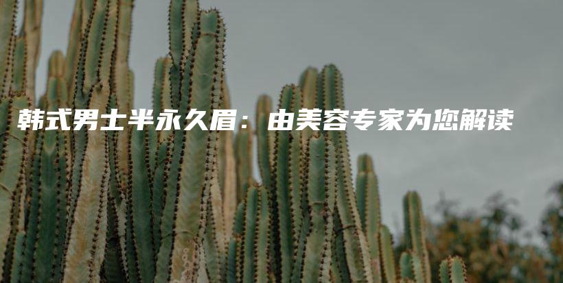 韓式男士半永久眉：由美容專家為您解讀插圖