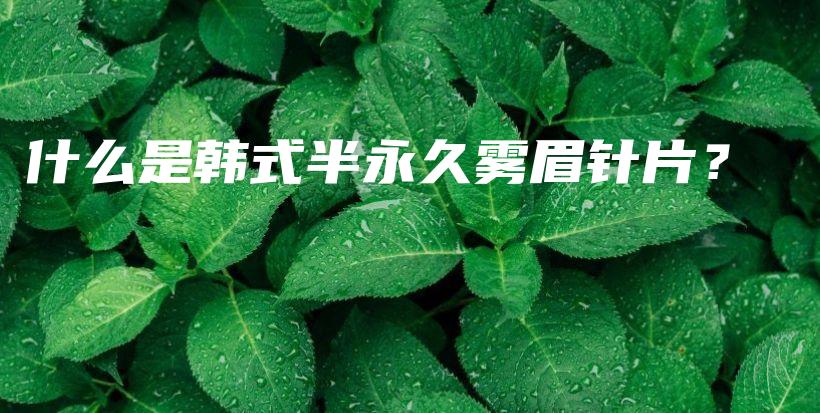 什么是韓式半永久霧眉針片？ – Anne美學(xué)插圖4