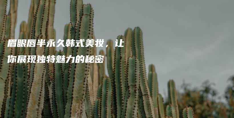 眉眼唇半永久韓式美妝，讓你展現(xiàn)獨(dú)特魅力的秘密插圖
