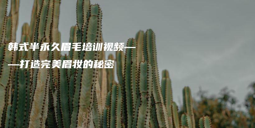 韓式半永久眉毛培訓視頻——打造完美眉妝的秘密插圖