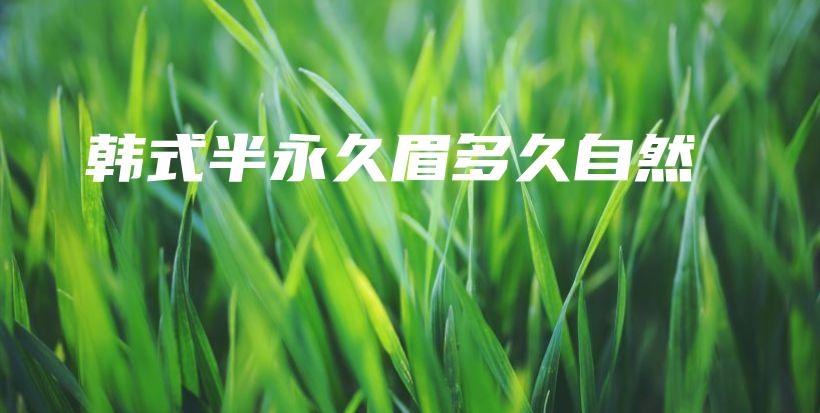 韓式半永久眉多久自然插圖