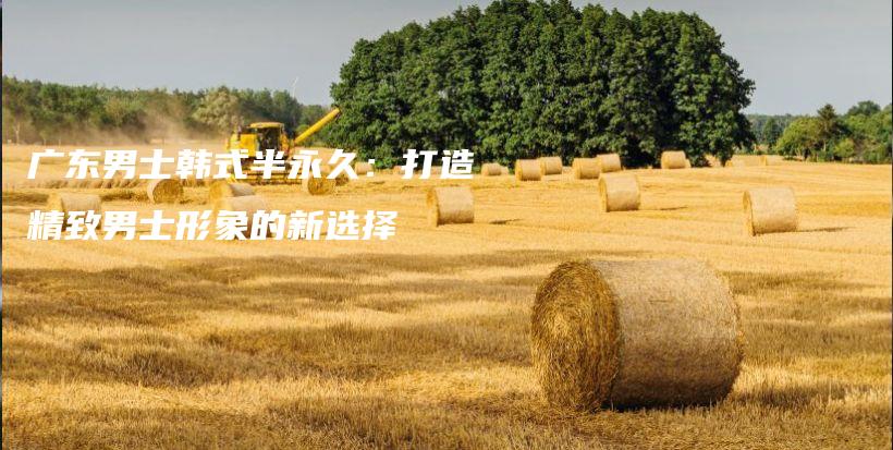 廣東男士韓式半永久：打造精致男士形象的新選擇插圖