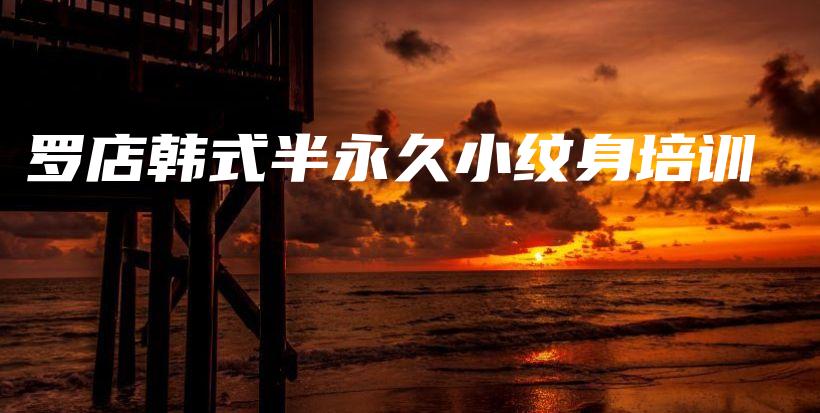 羅店韓式半永久小紋身培訓(xùn)插圖