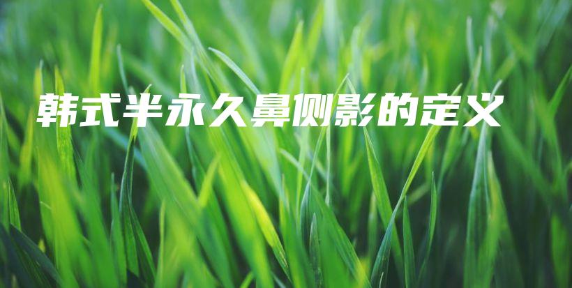 韓式半永久鼻側(cè)影的定義插圖