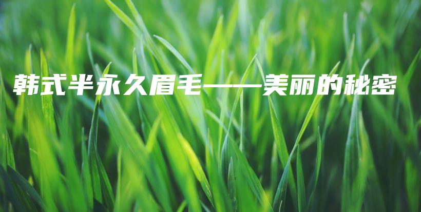 韓式半永久眉毛——美麗的秘密插圖