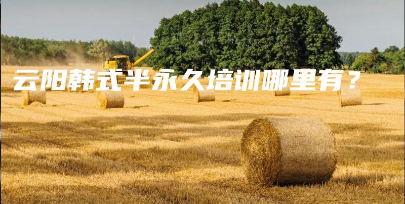 云陽韓式半永久培訓(xùn)哪里有？插圖