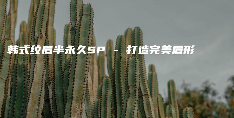 韓式紋眉半永久SP – 打造完美眉形插圖