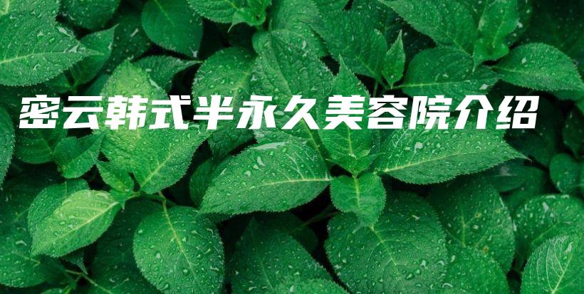 密云韓式半永久美容院介紹插圖