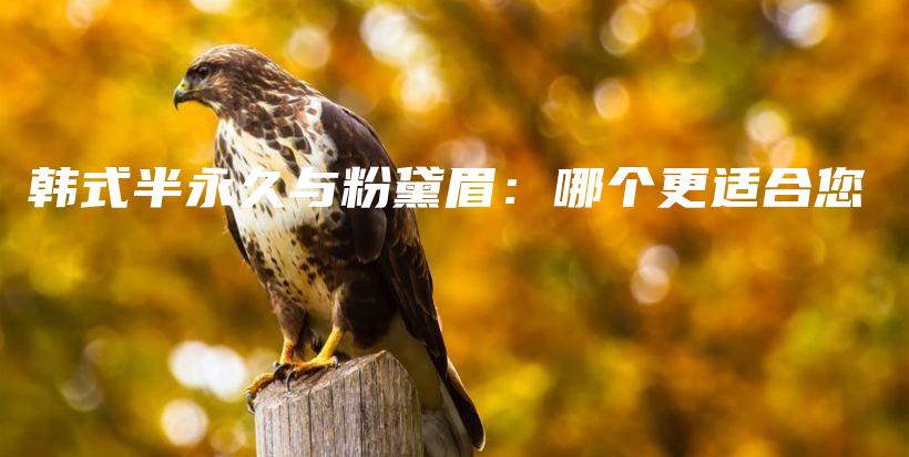 韓式半永久與粉黛眉：哪個更適合您插圖