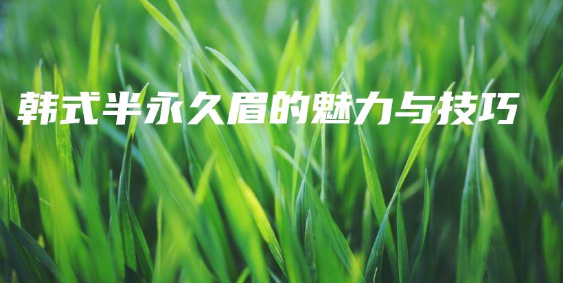 韓式半永久眉的魅力與技巧插圖