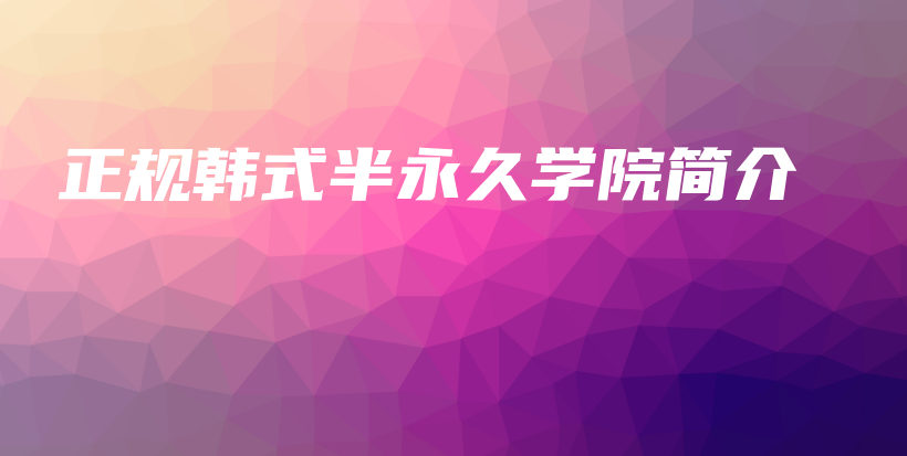 正規(guī)韓式半永久學(xué)院簡介插圖