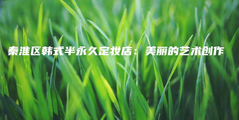 秦淮區(qū)韓式半永久定妝店：美麗的藝術(shù)創(chuàng)作插圖