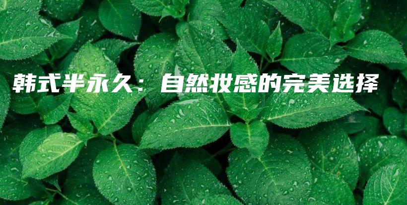 韓式半永久：自然妝感的完美選擇插圖