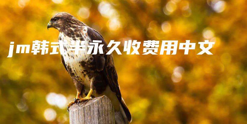 jm韓式半永久收費用中文插圖