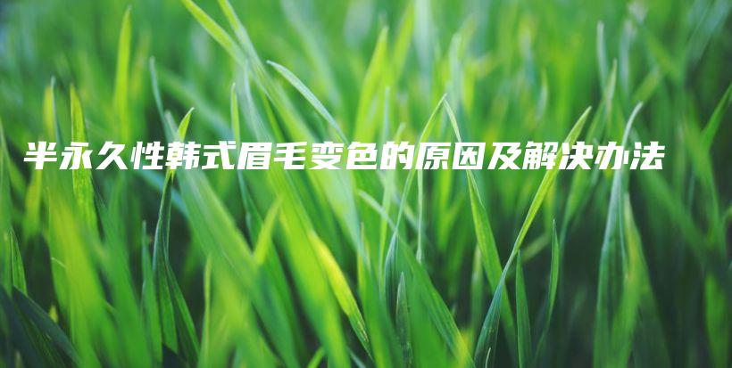 半永久性韓式眉毛變色的原因及解決辦法插圖