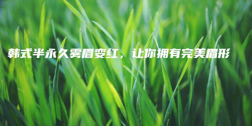 韓式半永久霧眉變紅，讓你擁有完美眉形插圖