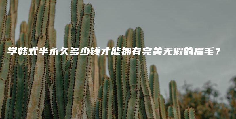 學(xué)韓式半永久多少錢才能擁有完美無瑕的眉毛？插圖