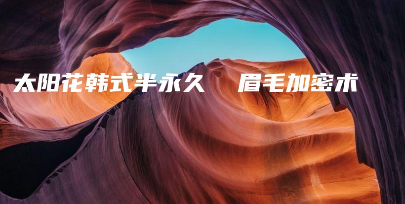太陽(yáng)花韓式半永久  眉毛加密術(shù)插圖