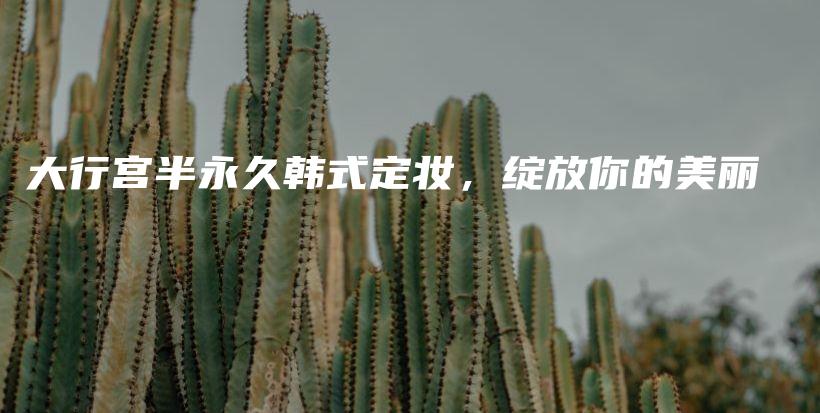 大行宮半永久韓式定妝，綻放你的美麗插圖