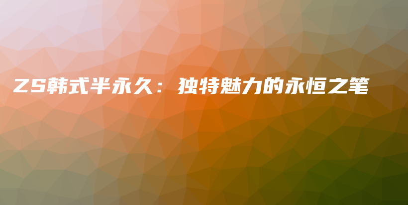 ZS韓式半永久：獨(dú)特魅力的永恒之筆插圖